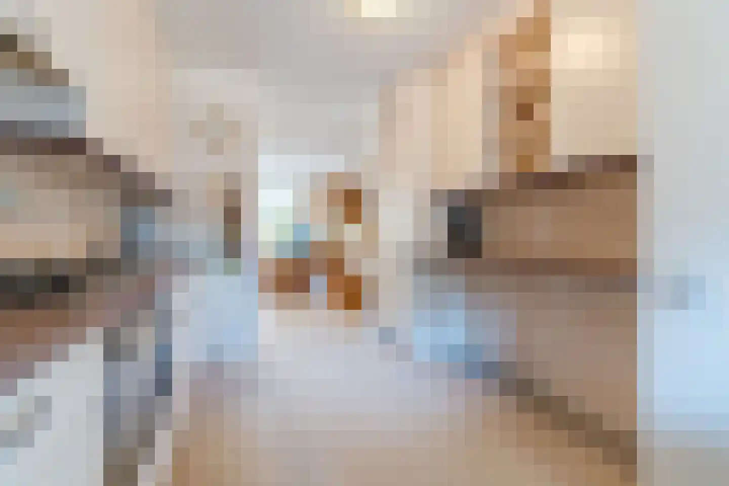 het Hooghuis 6 Geldrop thumbnail 22