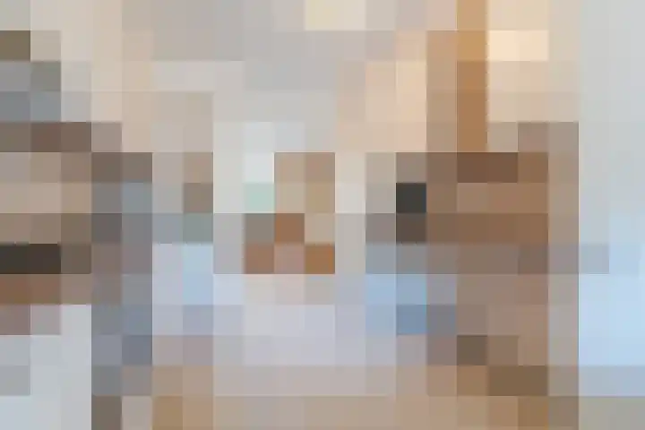 het Hooghuis 6 Geldrop thumbnail 22