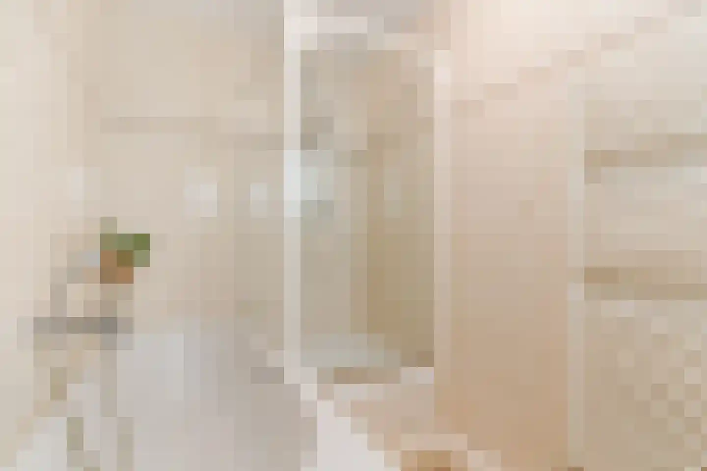 het Hooghuis 6 Geldrop thumbnail 27