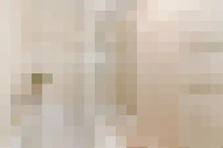 het Hooghuis 6 Geldrop thumbnail 27