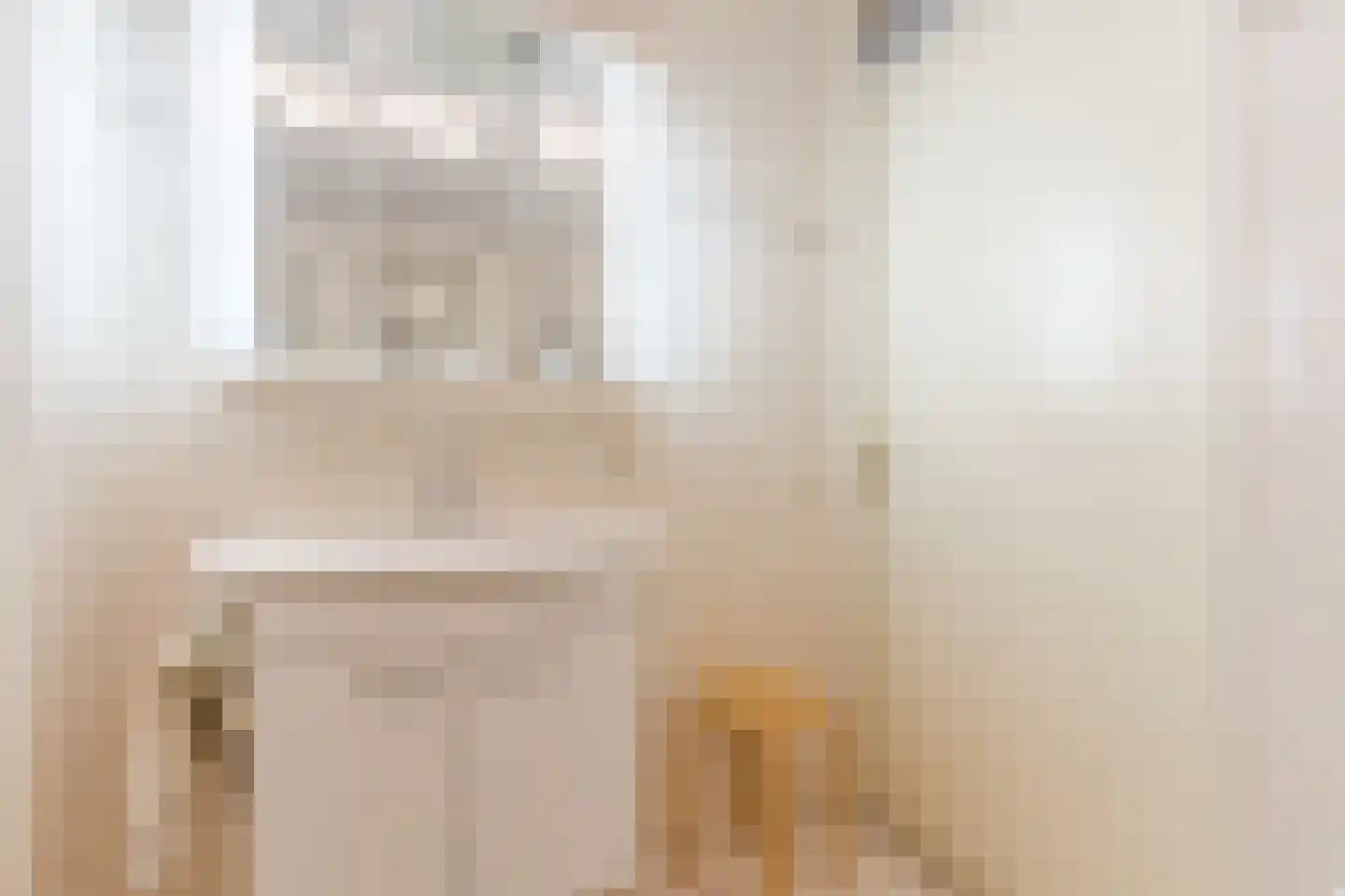 het Hooghuis 6 Geldrop thumbnail 28