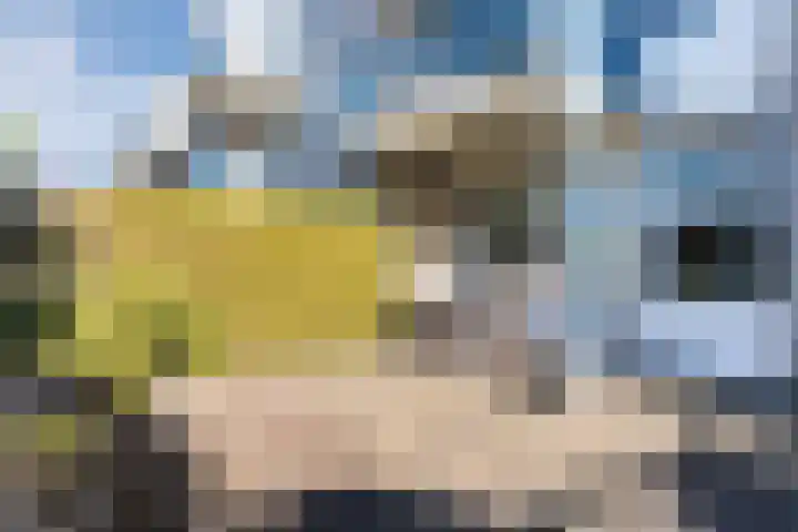 het Hooghuis 6 Geldrop thumbnail 32