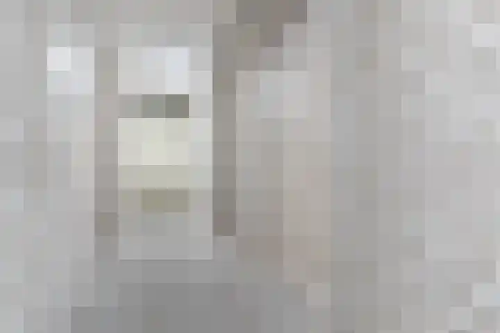 het Hooghuis 6 Geldrop thumbnail 35