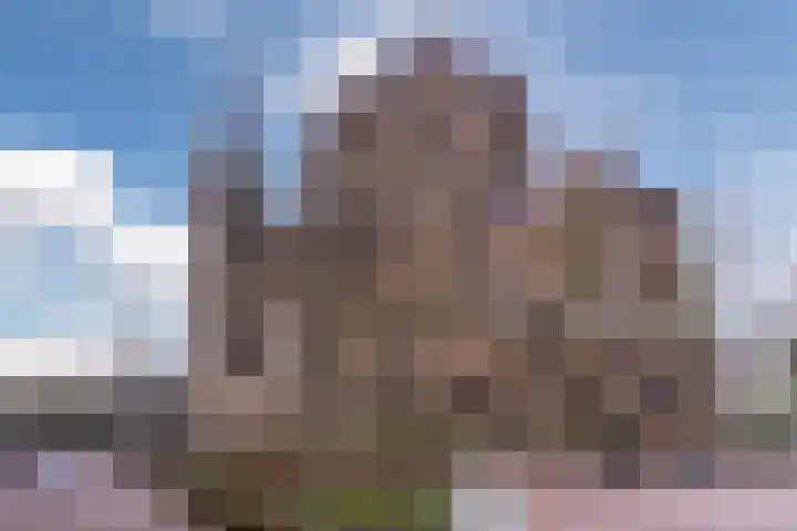 het Hooghuis 6 Geldrop thumbnail 42