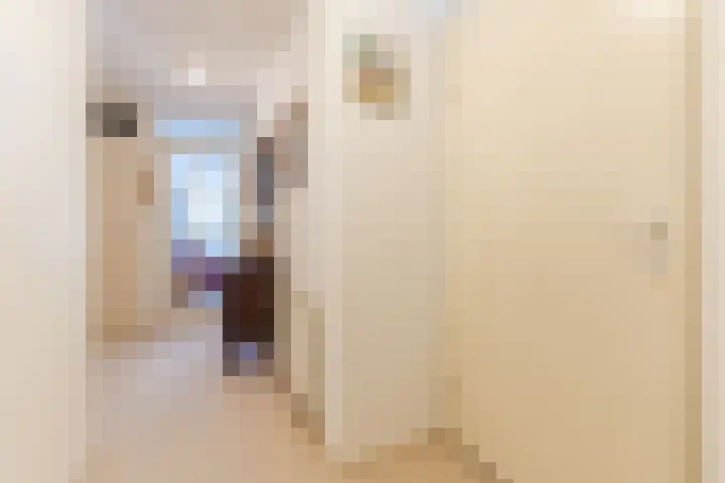 het Hooghuis 6 Geldrop thumbnail 7