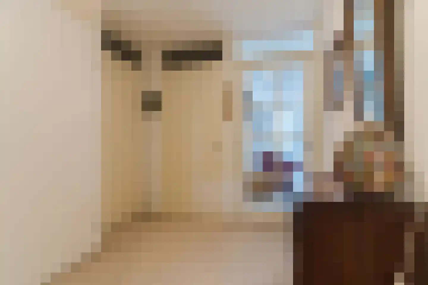 het Hooghuis 6 Geldrop thumbnail 8