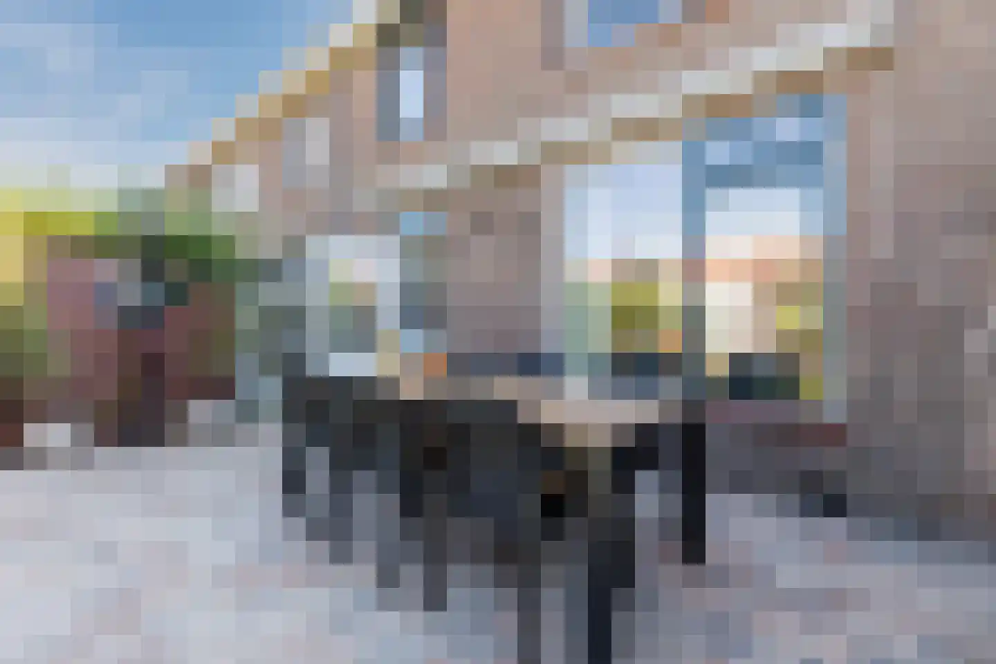 Het Hoogland 25 Culemborg thumbnail 27