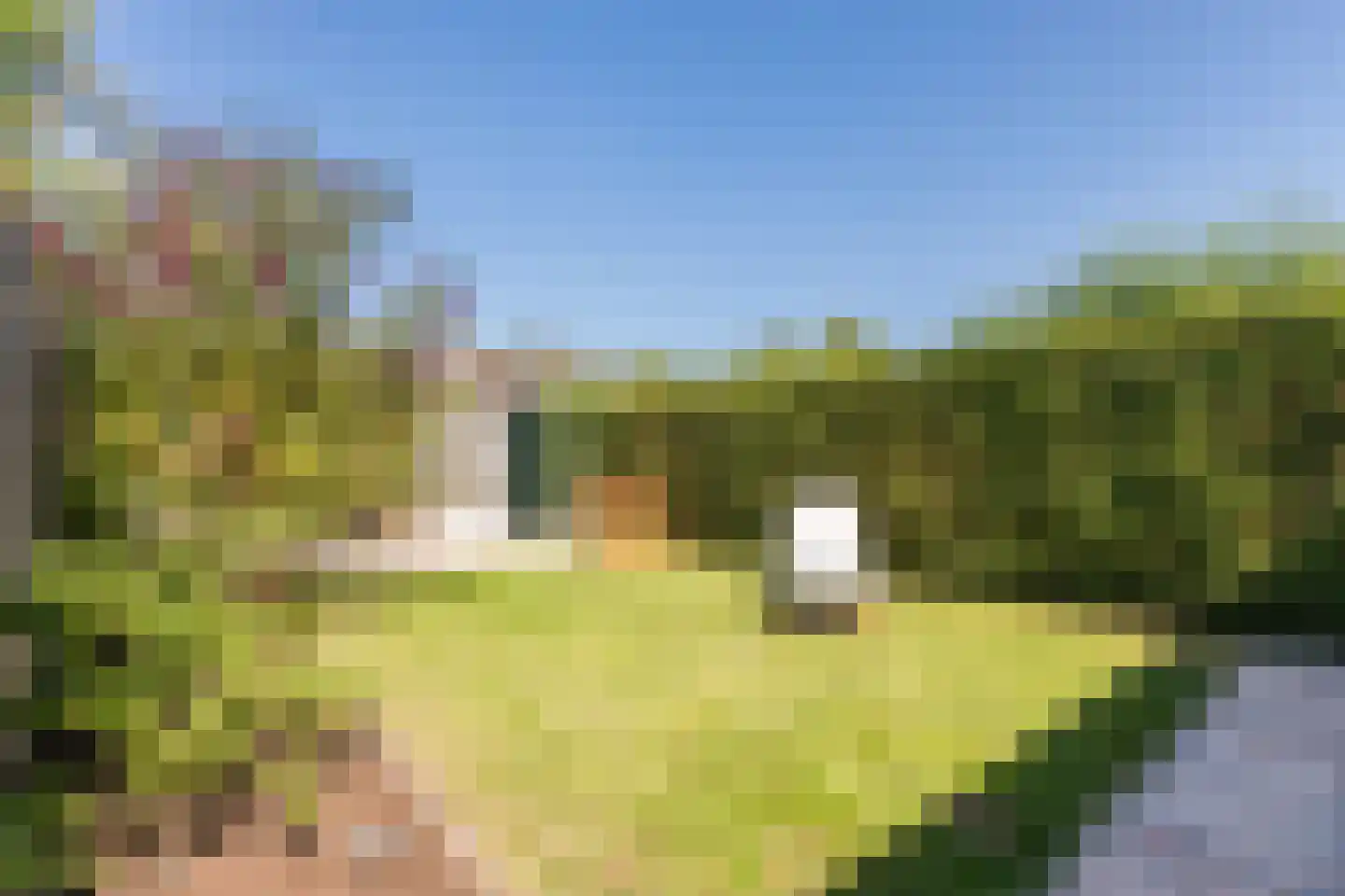 Het Hoogland 25 Culemborg thumbnail 28