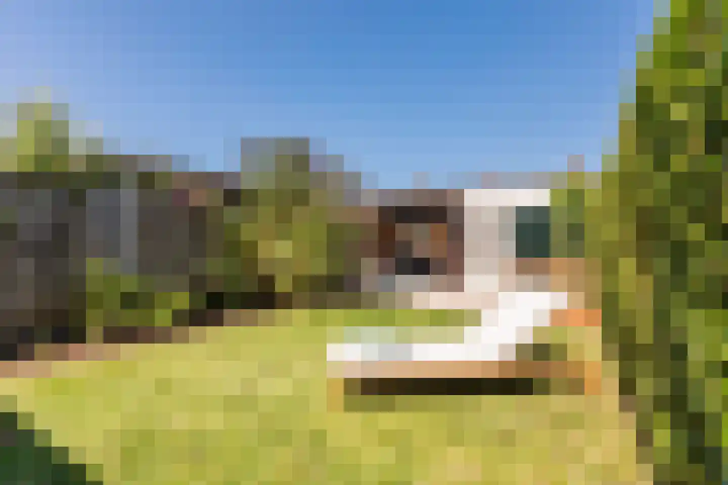Het Hoogland 25 Culemborg thumbnail 4