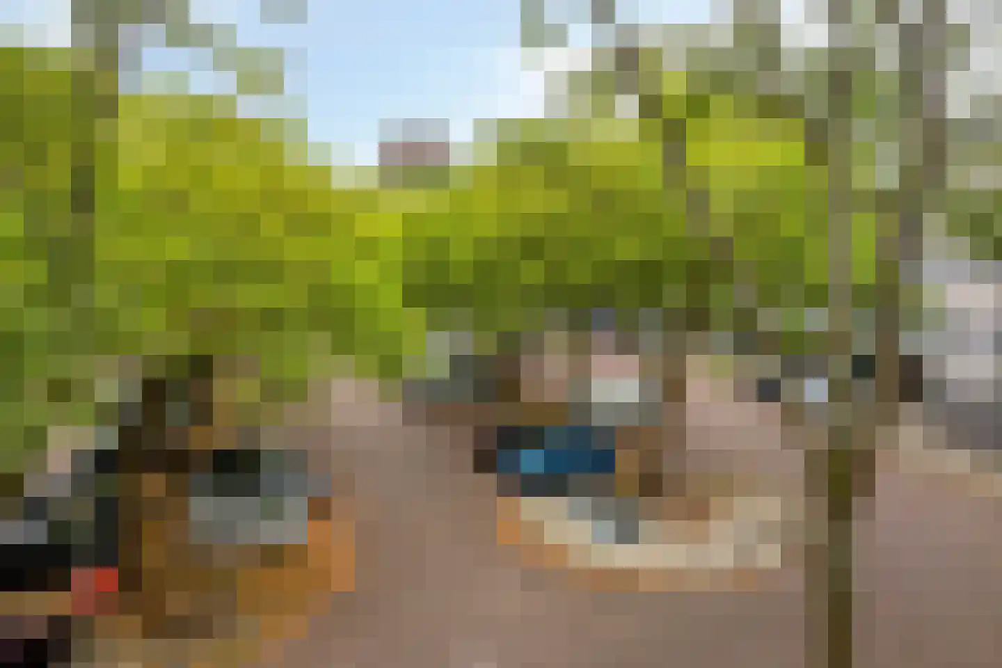 Het Hoogt 146 Amsterdam thumbnail 26