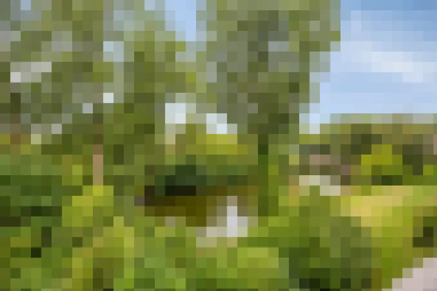 Het Hoogt 146 Amsterdam thumbnail 28