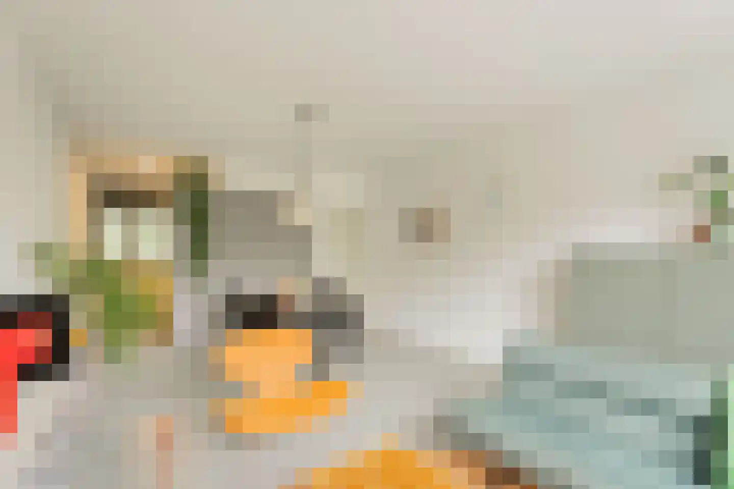Het Hoogt 149 Amsterdam thumbnail 17