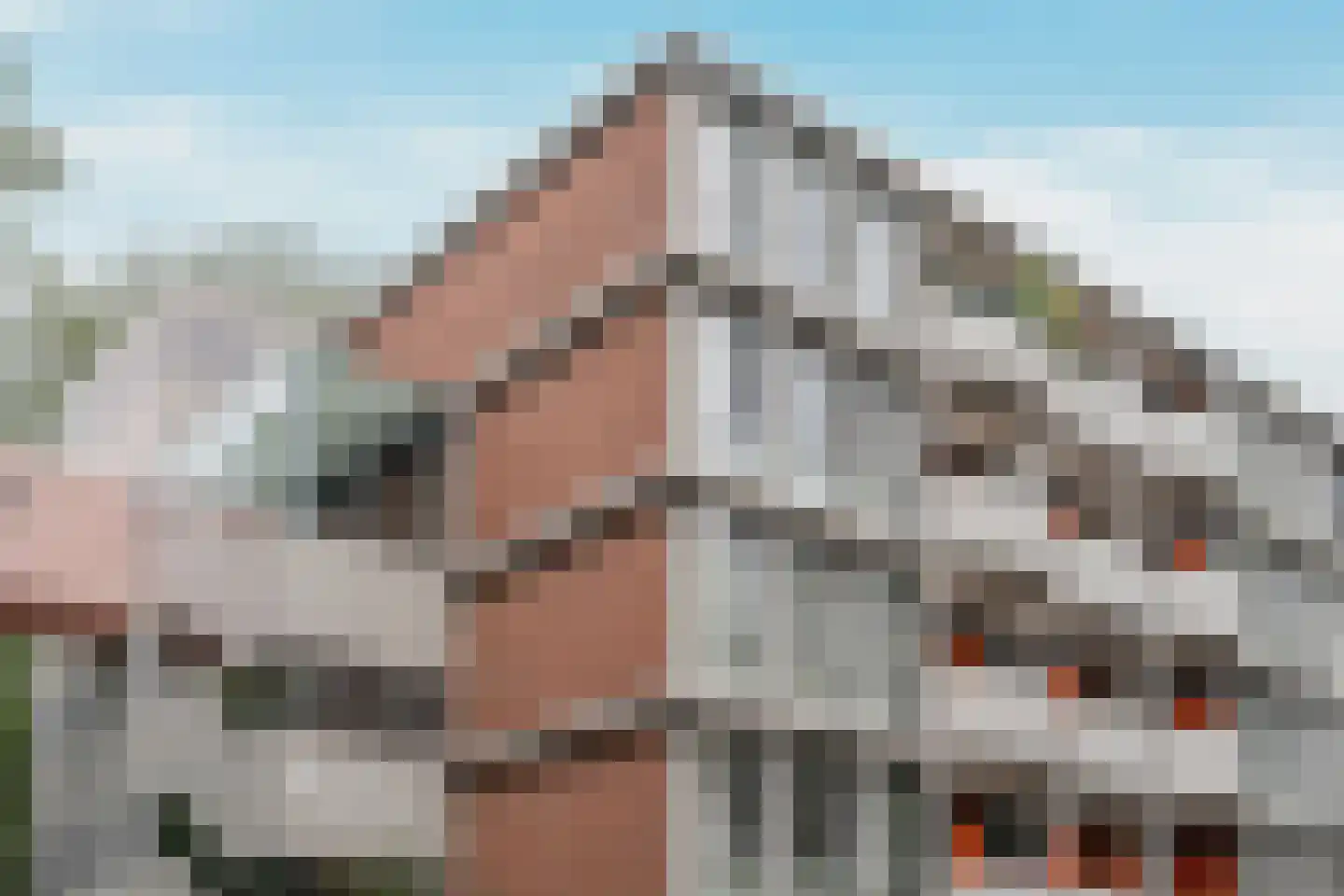 Het Hoogt 149 Amsterdam thumbnail 38
