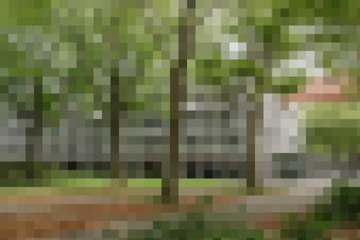 Het Hoogt 149 Amsterdam thumbnail 39
