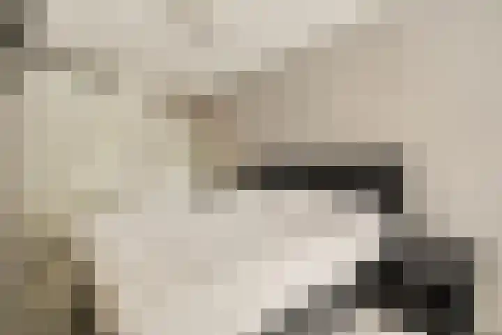 Het Hoogt 153 Amsterdam thumbnail 10