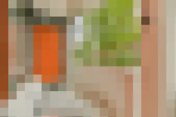 Het Hoogt 153 Amsterdam thumbnail 11