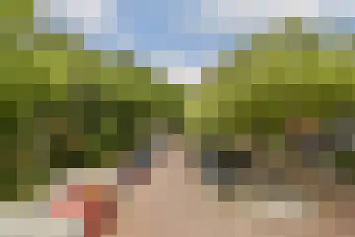 Het Hoogt 153 Amsterdam thumbnail 12