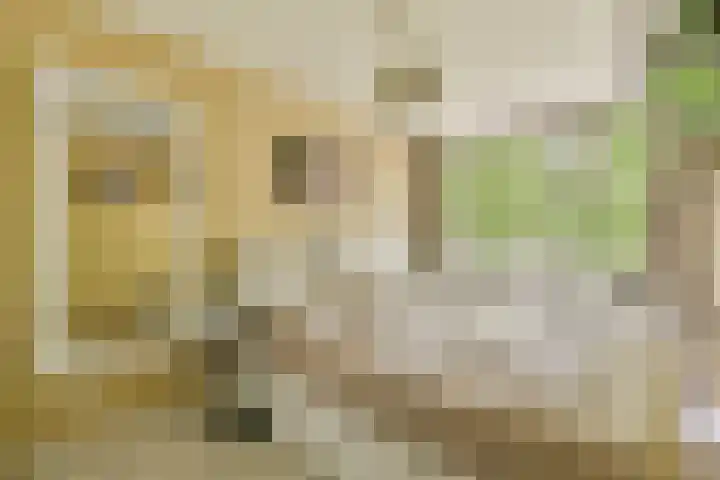 Het Hoogt 153 Amsterdam thumbnail 13