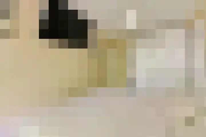 Het Hoogt 153 Amsterdam thumbnail 14