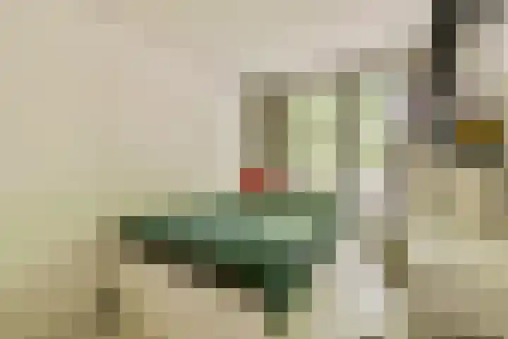 Het Hoogt 153 Amsterdam thumbnail 16