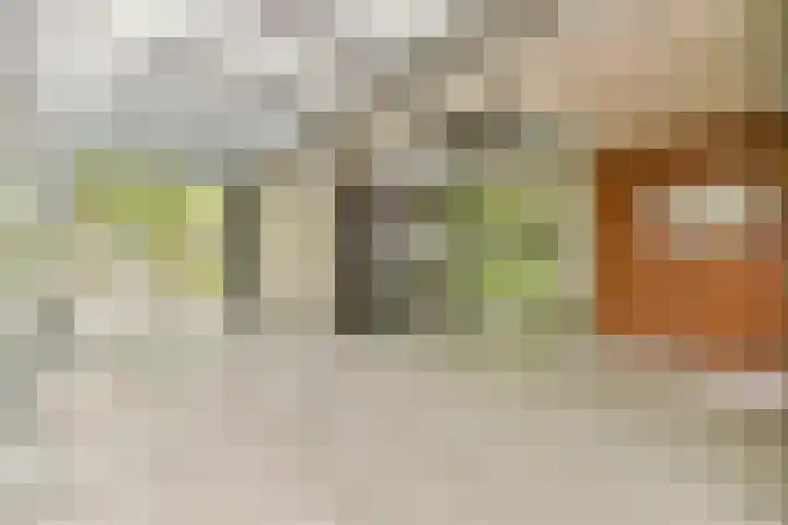 Het Hoogt 153 Amsterdam thumbnail 19