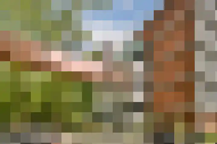 Het Hoogt 153 Amsterdam thumbnail 20