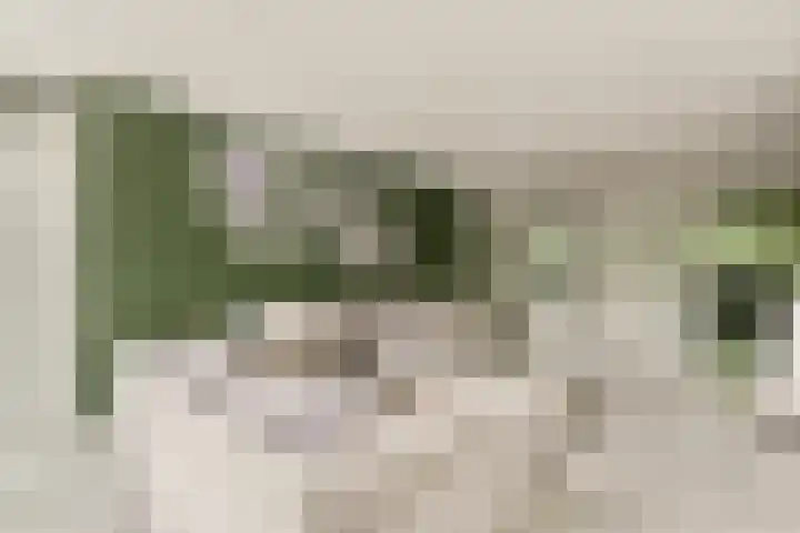 Het Hoogt 153 Amsterdam thumbnail 4
