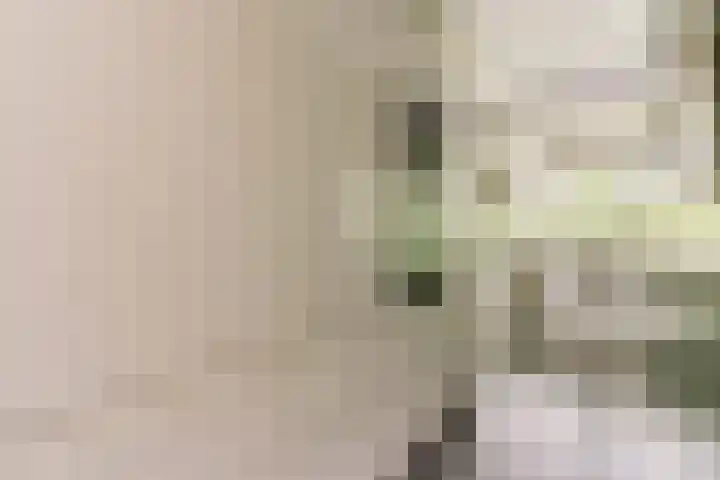 Het Hoogt 153 Amsterdam thumbnail 5