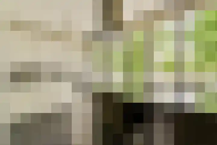 Het Hoogt 153 Amsterdam thumbnail 6