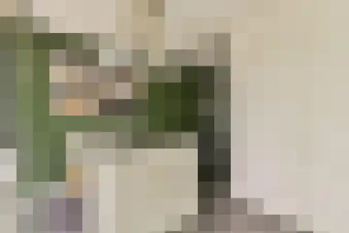 Het Hoogt 153 Amsterdam thumbnail 7