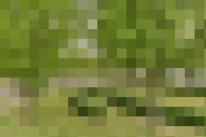 Het Hoogt 153 Amsterdam thumbnail 8