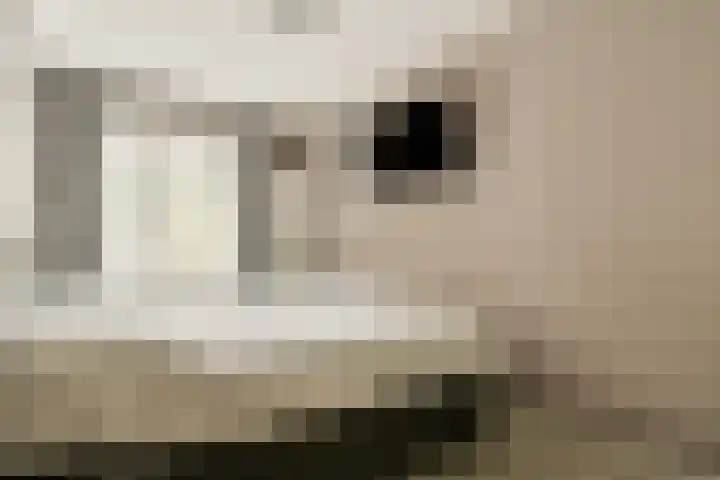 Het Hoogt 153 Amsterdam thumbnail 9