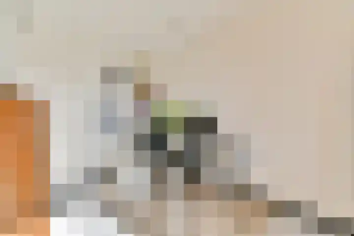 Het Hoogt 164 Amsterdam thumbnail 21