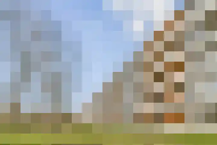 Het Hoogt 164 Amsterdam thumbnail 25