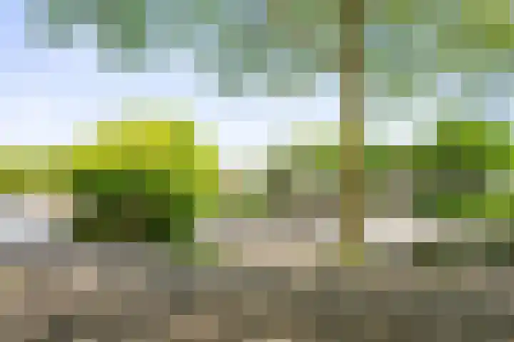 Het Hoogt 166 Amsterdam thumbnail 28