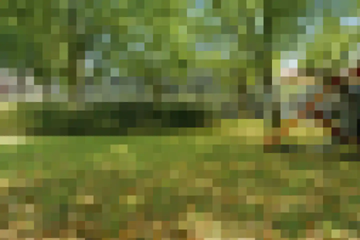 Het Hoogt 169 Amsterdam thumbnail 31
