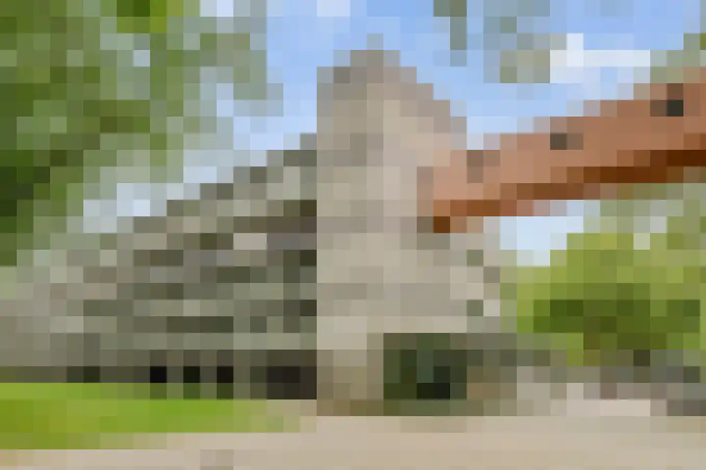 Het Hoogt 173 Amsterdam thumbnail 17