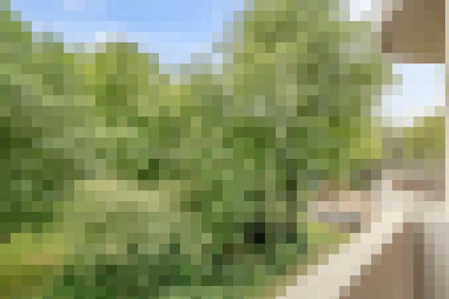 Het Hoogt 173 Amsterdam thumbnail 19