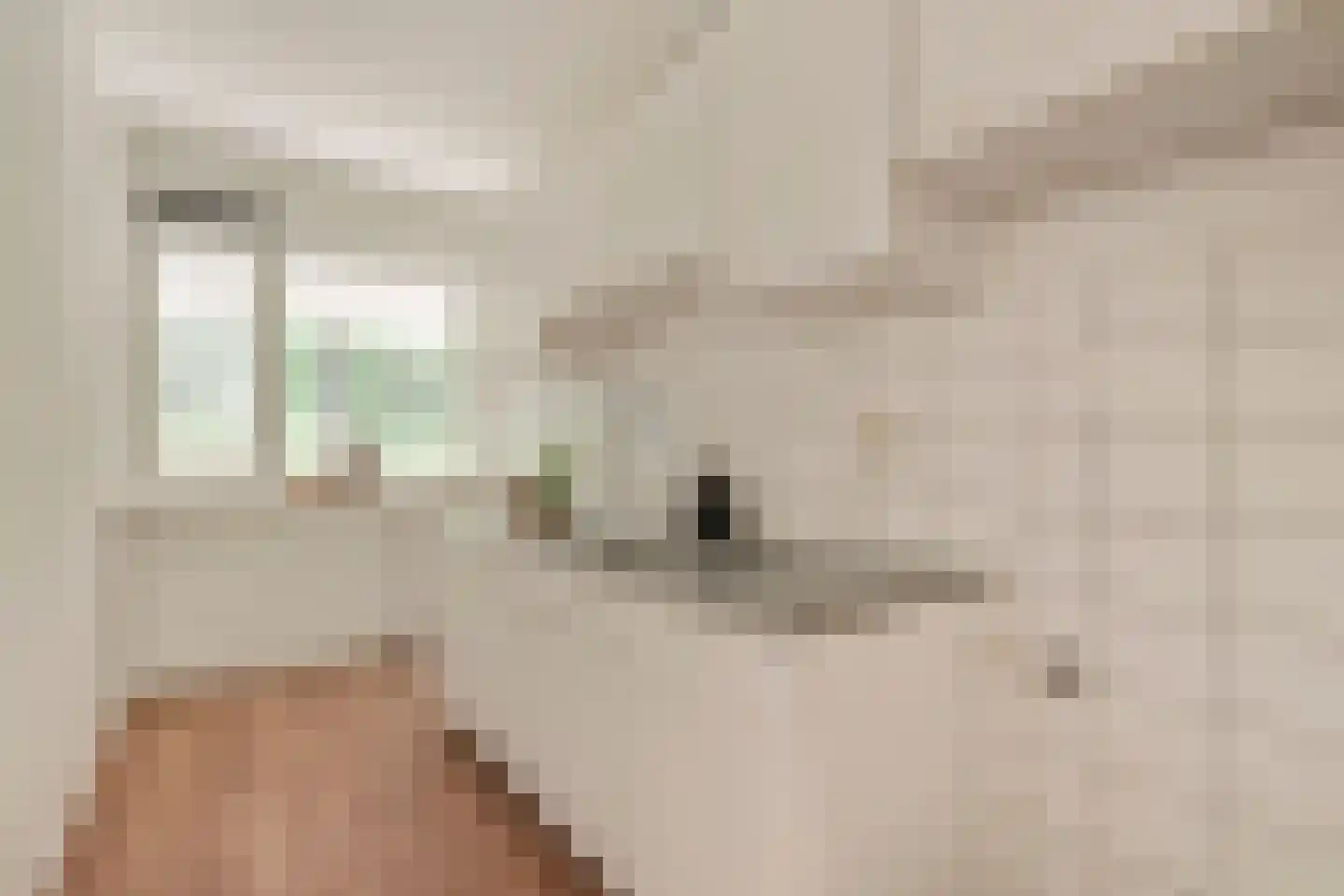 Het Hoogt 173 Amsterdam thumbnail 9