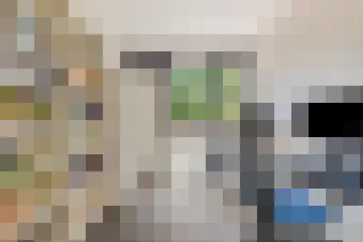 Het Hoogt 176 Amsterdam thumbnail 11