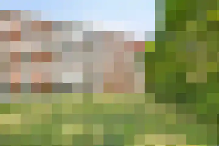 Het Hoogt 176 Amsterdam thumbnail 18