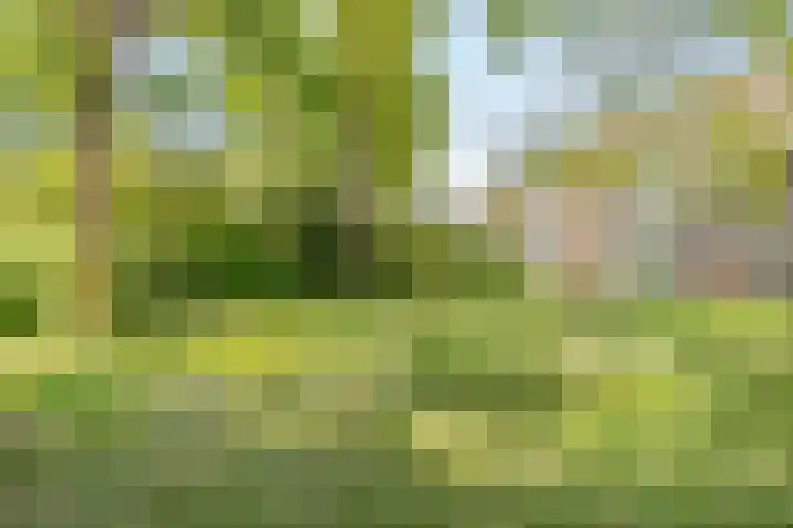 Het Hoogt 176 Amsterdam thumbnail 20