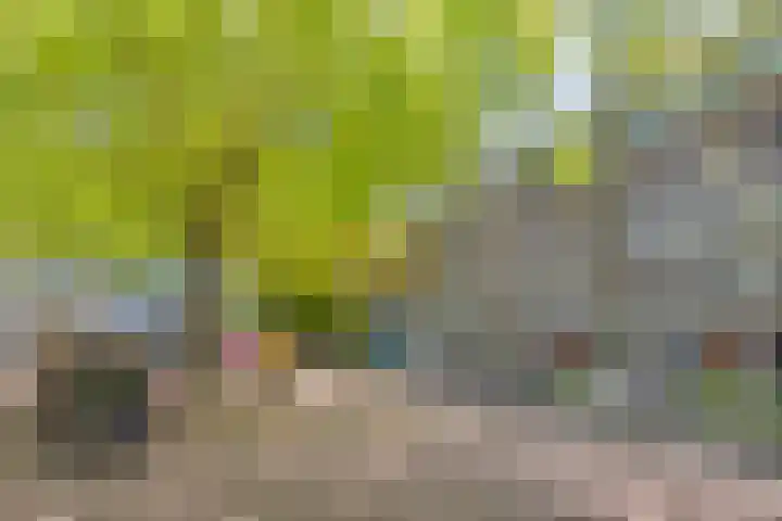 Het Hoogt 176 Amsterdam thumbnail 24