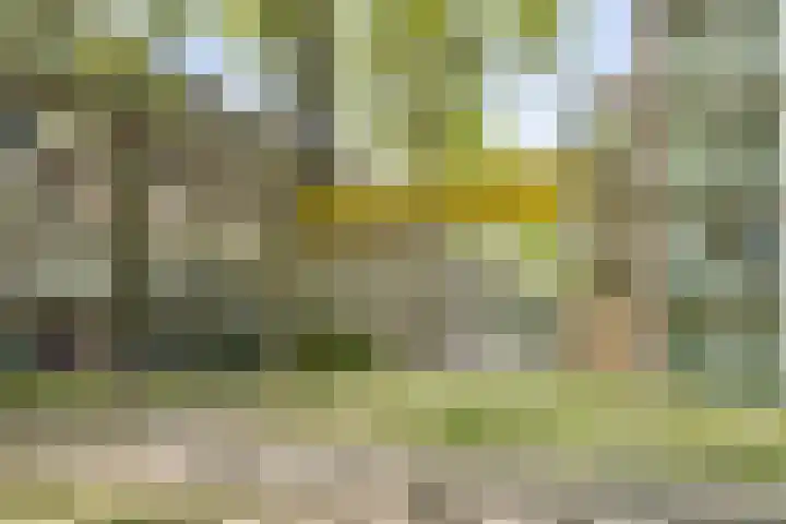 Het Hoogt 176 Amsterdam thumbnail 30