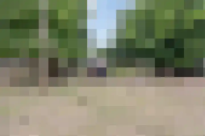 Het Hoogt 176 Amsterdam thumbnail 5