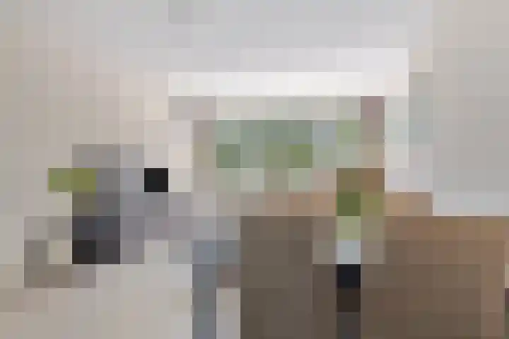 Het Hoogt 176 Amsterdam thumbnail 5