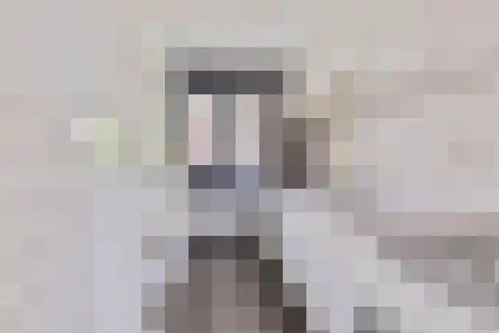 Het Hoogt 176 Amsterdam thumbnail 9