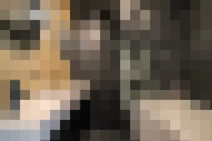 Het Hoogt 18 Amsterdam thumbnail 20
