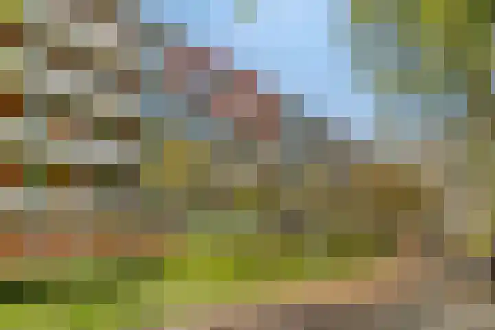 Het Hoogt 18 Amsterdam thumbnail 23