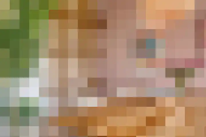 Het Hoogt 18 Amsterdam thumbnail 7